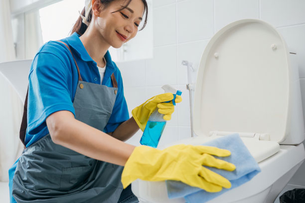 Lolita's Cleaning Service Virginia Beach, Virginia