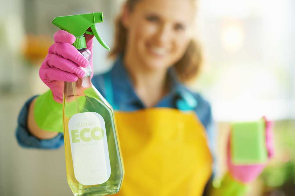 Lolita's Cleaning Service Virginia Beach, Virginia